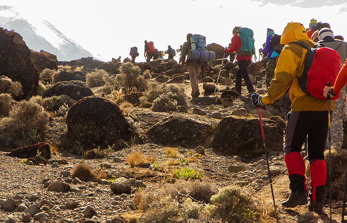 mount-Kilimanjaro-tour-tamu