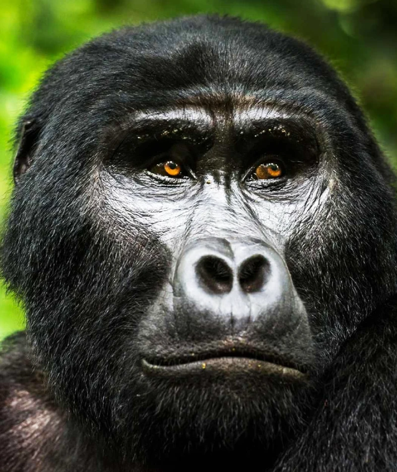 Rwanda