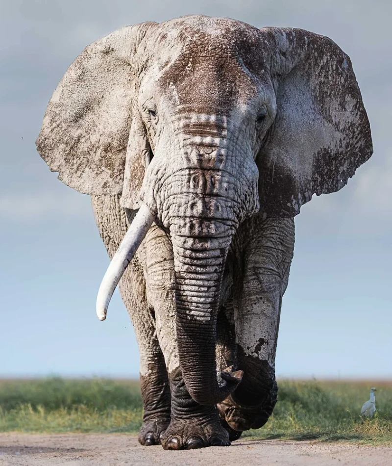 Kenya