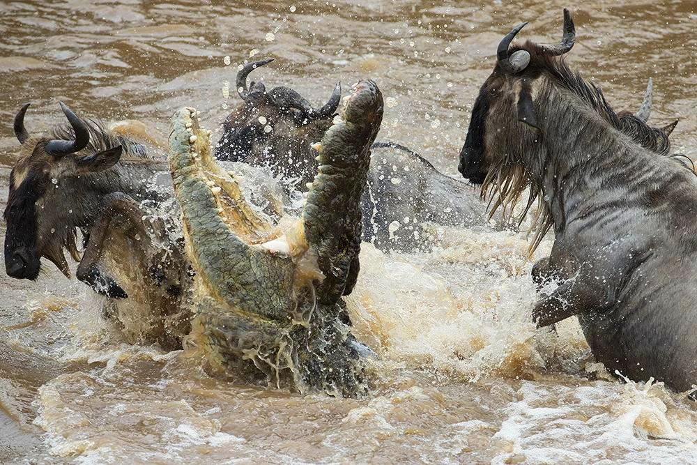Serengeti National Park