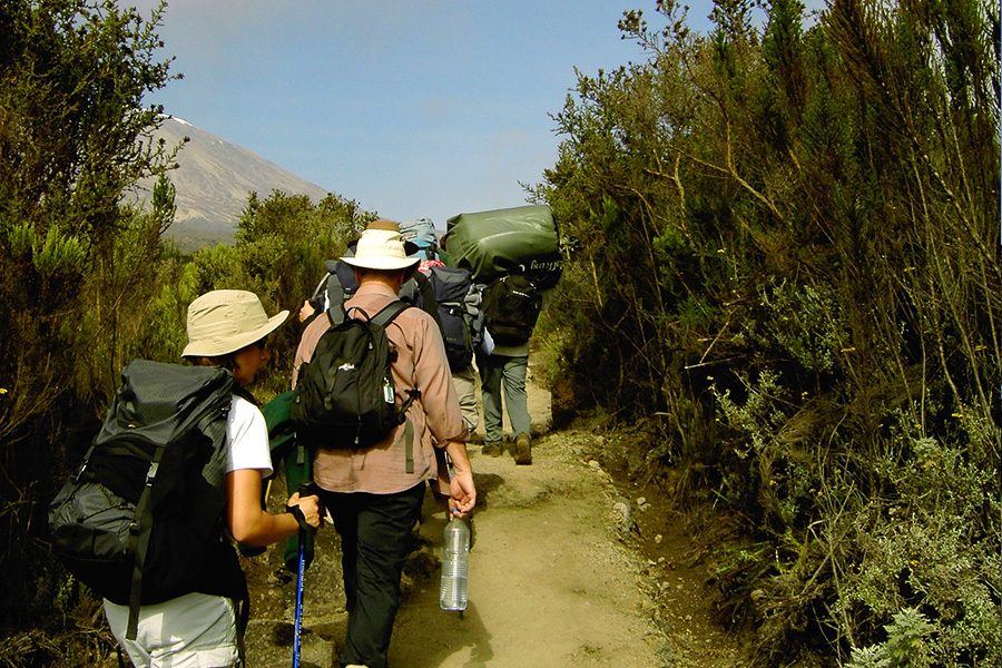5-days-Kilimanjaro-climb-Marangu-route-tour-tamu