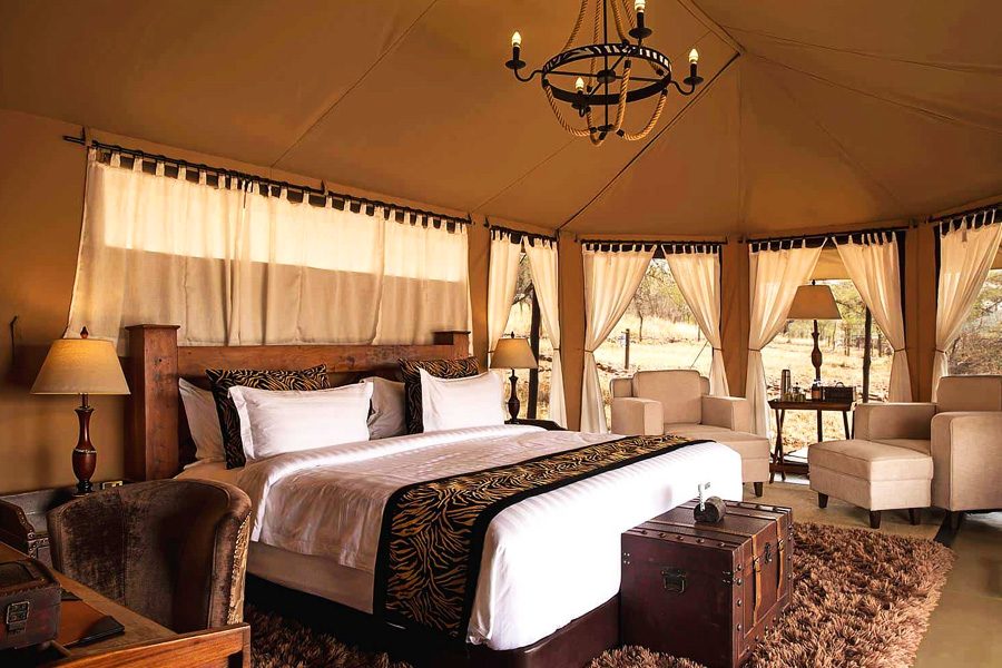 7-days-Tanzania-safari--oleserai-luxury-camp-serengeti--tour-tamu