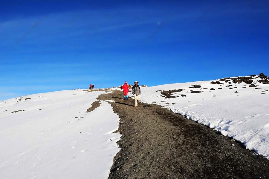 7-days-lemosho-route-Kilimanjaro-climb-tourtame