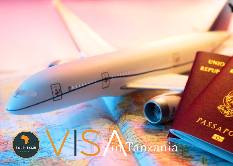 travel-Visa-in-Tanzania---Tour-Tamu-Africa